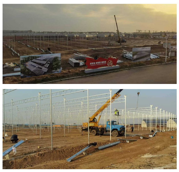 Il nostro cantiere si sta affrettando ad assemblare lo scheletro della serra zincato a caldo,