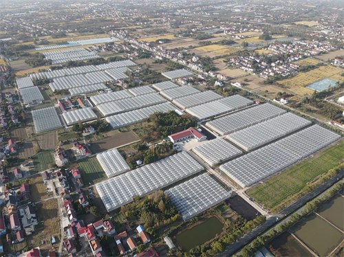 Il quindicesimo piano quinquennale ha contribuito a uno sviluppo vigoroso dell’agricoltura strutturale