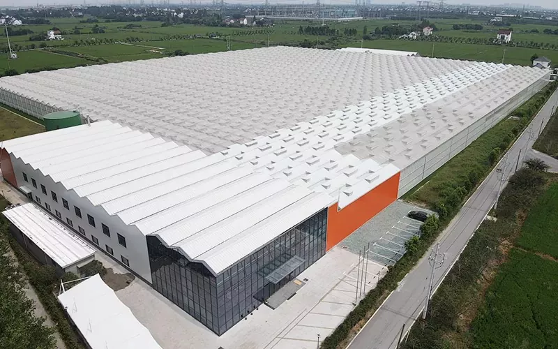 Vantaggi della serra di vetro multispan