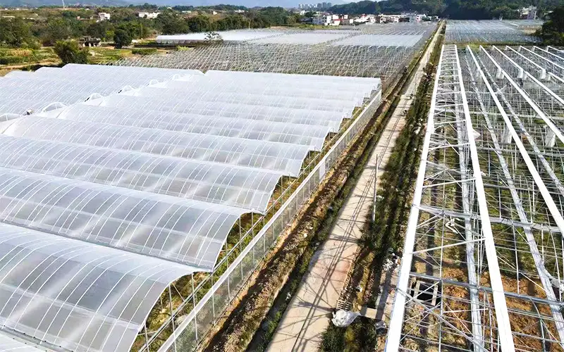 Esplora la cresta - serra di plastica ventilata per aumentare la produzione e risolvere il problema ad alta temperatura