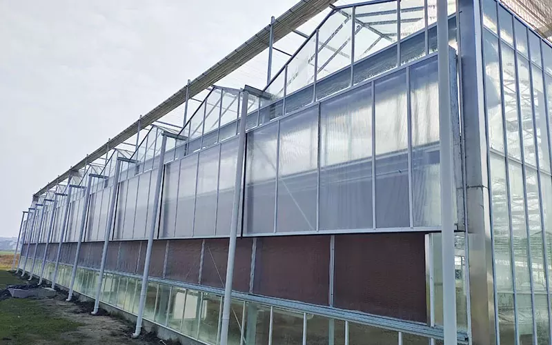 Serra multiporta in policarbonato trasparente in vendita