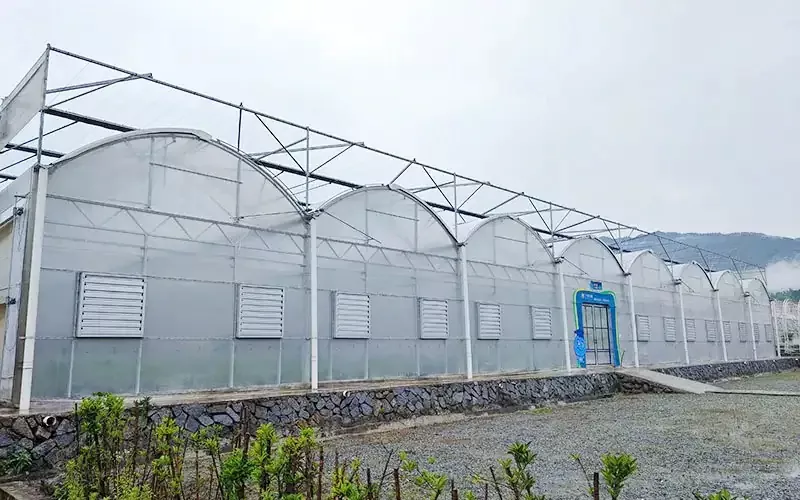 Serra in film plastico multispan