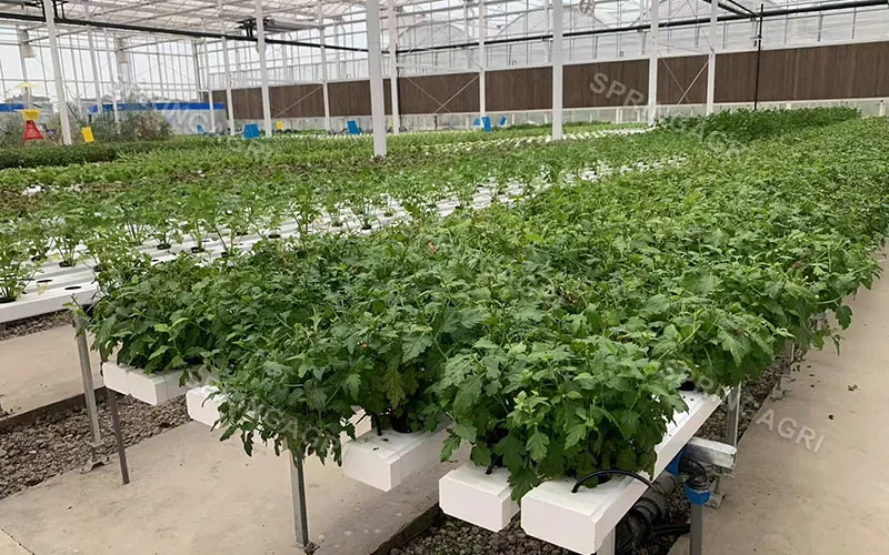 Sistemi di coltivazione idroponica per agricoltura verticale NFT